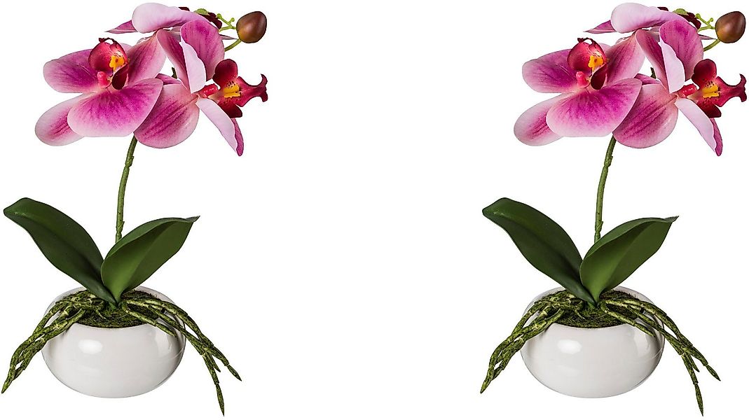Creativ green Kunstorchidee "Phalaenopsis in Keramikschale" mit Real-Touch- günstig online kaufen