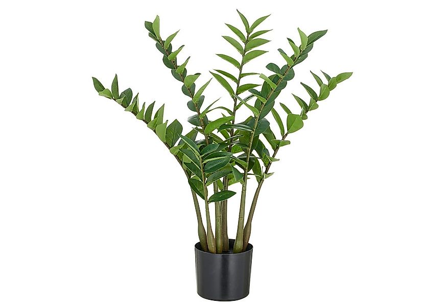 Kunstpflanze Zamifolia, Creativ green, Höhe 70 cm, mit detailgetreuer Gesta günstig online kaufen