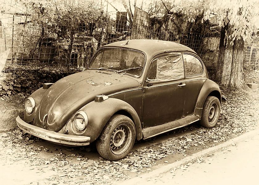 Papermoon Fototapete "Käfer Retro Auto" günstig online kaufen