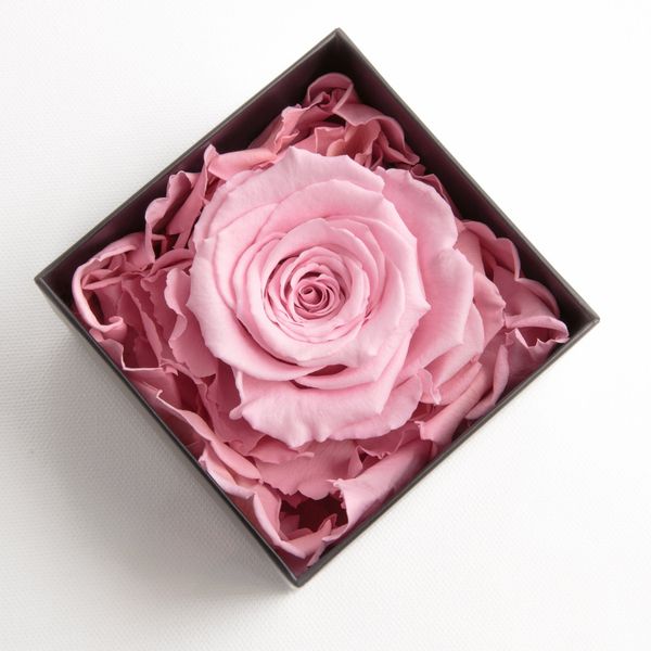 Kunstblume 1 Infinity Rose haltbar 3 günstig online kaufen