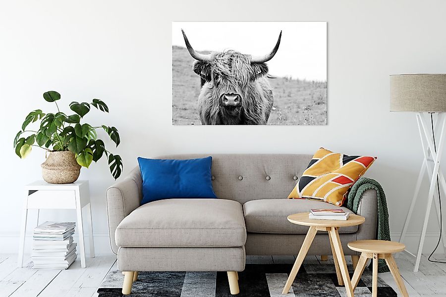 Pixxprint Leinwandbild Highlandrind frontal in Schwarz-Weiss, günstig online kaufen