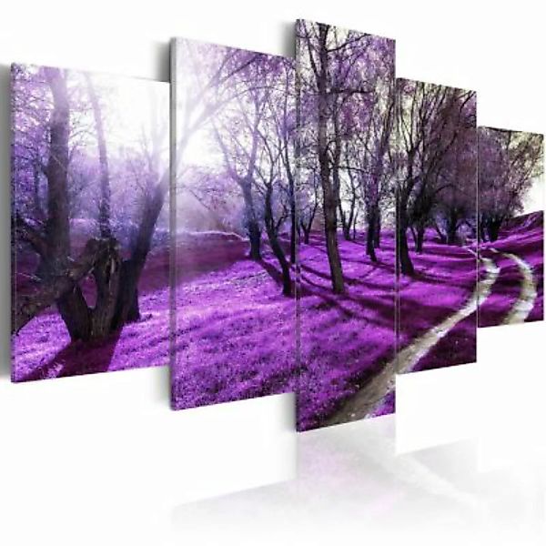artgeist Wandbild Lavender orchard mehrfarbig Gr. 200 x 100 günstig online kaufen