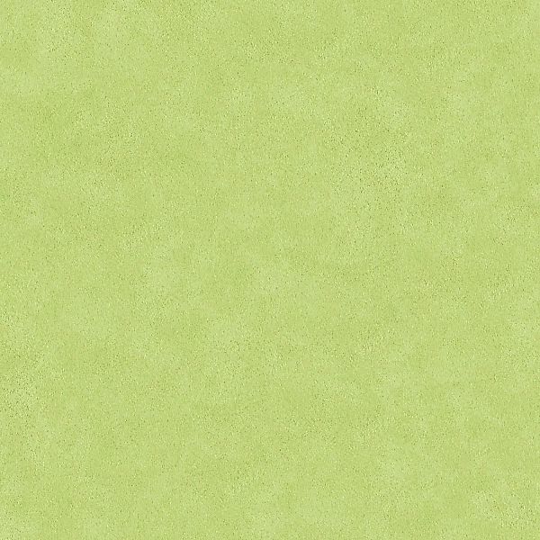 Bricoflor Grüne Tapete im Uni Stil Einfarbige Vliestapete in Hellgrün Schli günstig online kaufen