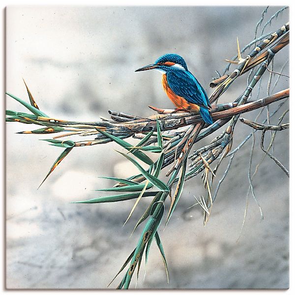 Artland Wandbild "Eisvogel I" Vögel 1 Stk. tlg. als Leinwandbild, Poster, W günstig online kaufen