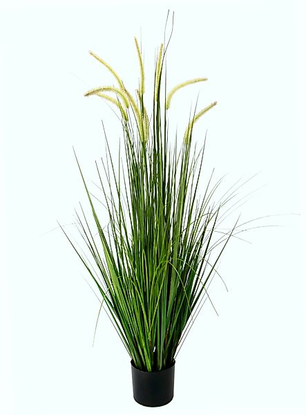Kunstgras Fuchsschwanzgras, I.GE.A., Höhe 120 cm, günstig online kaufen