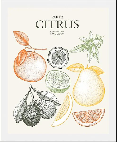 queence Bild »Citrus«, Obst-Obst Bilder-Essen-Lebensmittel-Kunst-Schriftzug günstig online kaufen