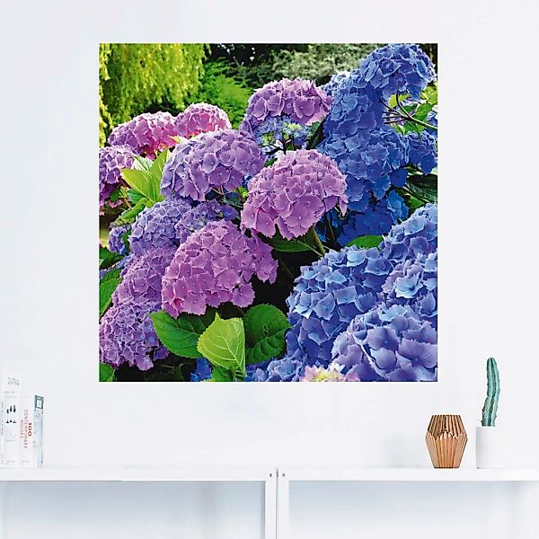 Artland Wandbild "Hortensien im Garten", Blumen, (1 St.), als Alubild, Outd günstig online kaufen