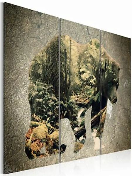 artgeist Wandbild The Bear in the Forest mehrfarbig Gr. 60 x 40 günstig online kaufen
