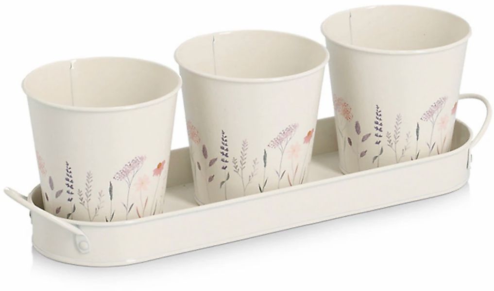 Zeller Present Kräutertopf "Pflanztopf-Set" 3 Töpfe & passendes Tablett günstig online kaufen