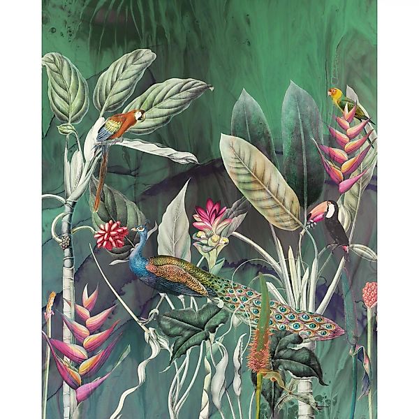 Komar Fototapete Vlies Jungle Chat  200 x 250 cm günstig online kaufen