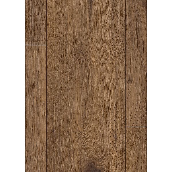 Egger Classic Laminat 8 mm Eiche Inuvik günstig online kaufen