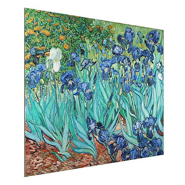 Alu-Dibond Bild Kunstdruck - Querformat 4:3 Vincent van Gogh - Iris günstig online kaufen