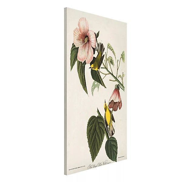 Magnettafel Blumen - Hochformat 3:4 Vintage Lehrtafel Grasmücke II günstig online kaufen