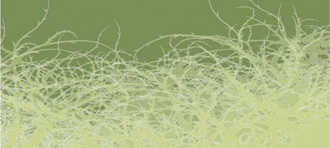 Architects Paper Fototapete »Atelier 47 Thorn Style 1« floral glatt Vlies, günstig online kaufen