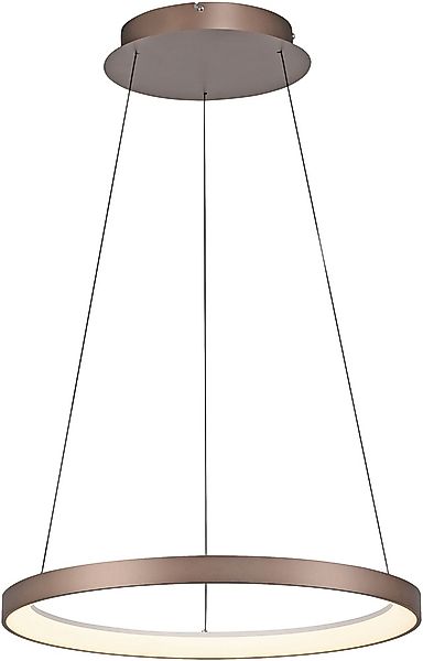 Paul Neuhaus Pendelleuchte »HOOP« LED-Board 1 Stk. Warmweiß LED, dimmbar, S günstig online kaufen