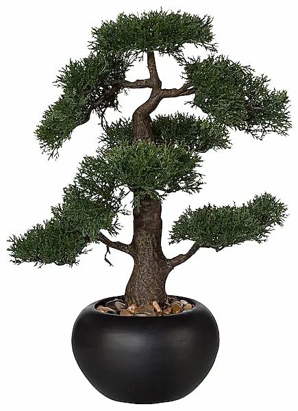Creativ green Kunstpflanze »Bonsai« günstig online kaufen