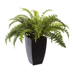 Kunstpflanze Tüpfelfarn Zimmerpflanze, Atmosphera Créateur d'intérieur, günstig online kaufen
