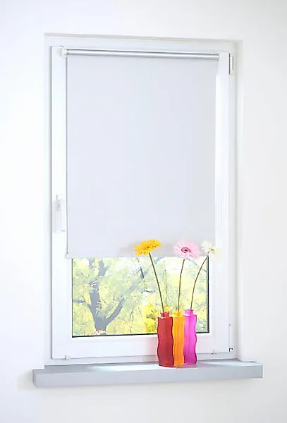 Liedeco Seitenzugrollo blickdicht energiesparend ohne Bohren günstig online kaufen