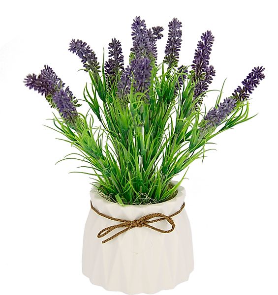 I.GE.A. Kunstpflanze "Lavendel", Im Keramiktopf günstig online kaufen