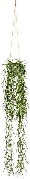 Kunstranke Tillandsia aeranthos im Hängetopf Sukkulente, günstig online kaufen