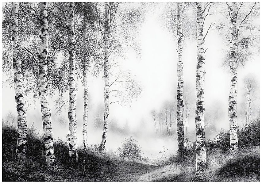 Wallarena Fototapete Wald Schwarz-Weiß Baum Vlies günstig online kaufen