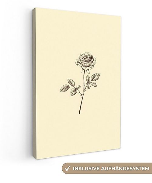 OneMillionCanvasses® Leinwandbild Illustration - Schwarz - Rose, Fotodruck günstig online kaufen