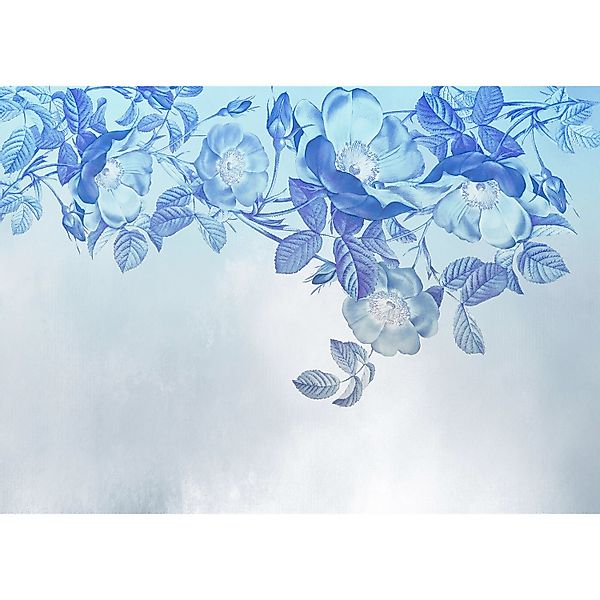 Komar Vliestapete Blue Aura  350 x 250 cm günstig online kaufen