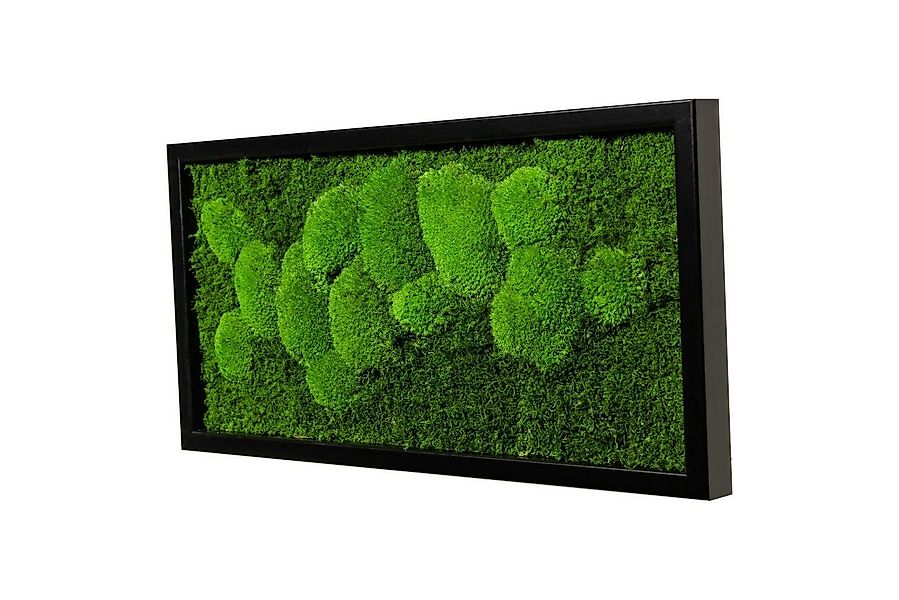 Moos-Design Bild Moosbild Fifty Fifty Design mit 50% Kugelmoos und 50% Flac günstig online kaufen