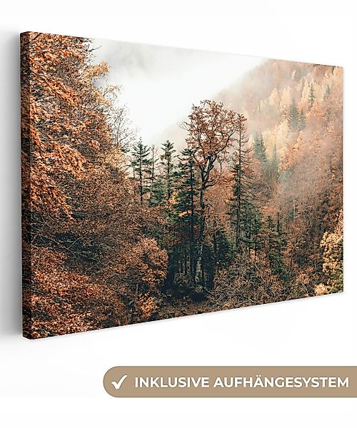 OneMillionCanvasses® Leinwandbild Natur - Wald - günstig online kaufen