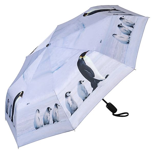 von Lilienfeld Taschenregenschirm Motivschirm Pinguine Tiere günstig online kaufen