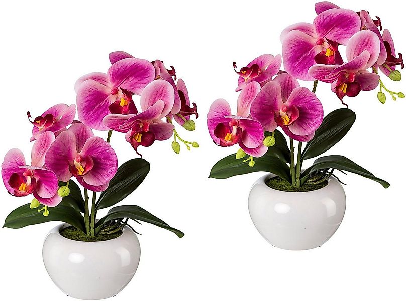 Kunstpflanze Orchidee, Creativ green, Höhe 35 cm, 2er Set günstig online kaufen