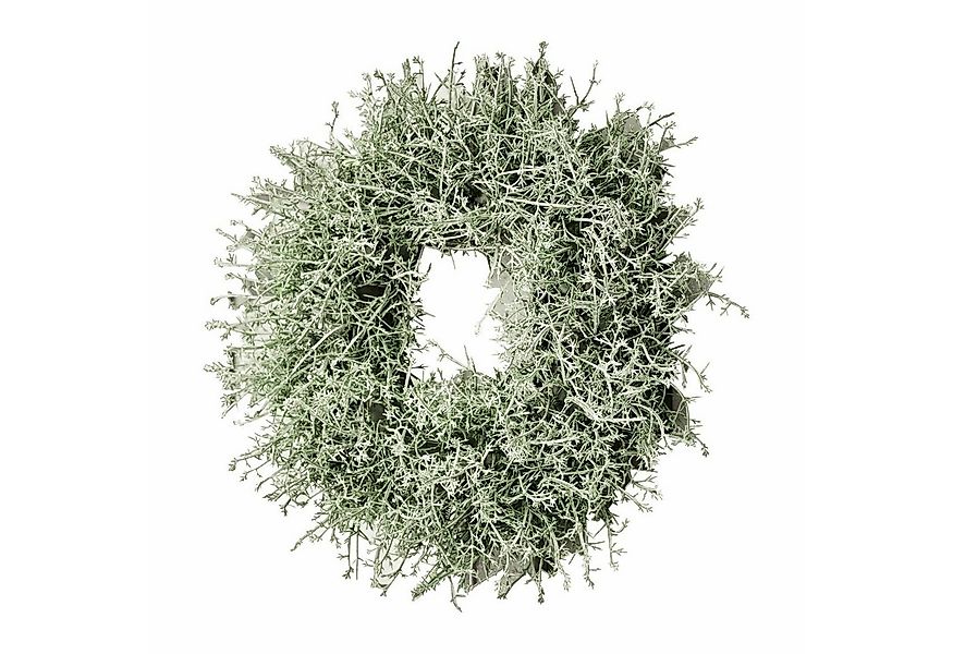 Mirabeau Dekoobjekt Kranz Senailly grün günstig online kaufen