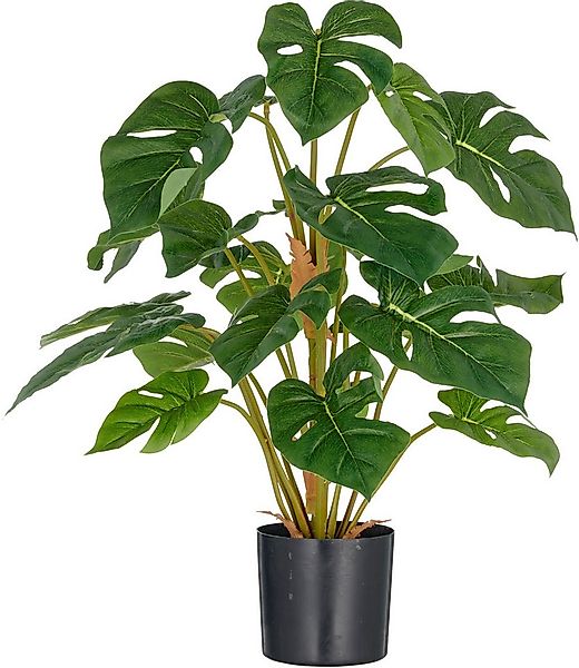 Kunstpflanze Split Philodendron, Creativ green, Höhe 65 cm, mit schönem Bla günstig online kaufen