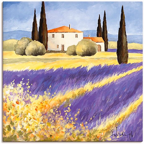 Artland Leinwandbild "Licht der Provence" Felder 1 Stk. tlg. auf Keilrahmen günstig online kaufen