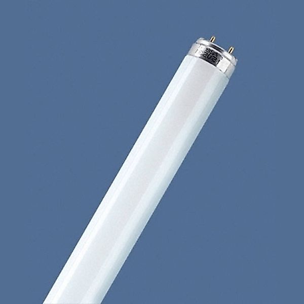 OSRAM Leuchtstoffröhre LUMILUX, G13 T8, 59 cm, 4.000 K 18 W günstig online kaufen