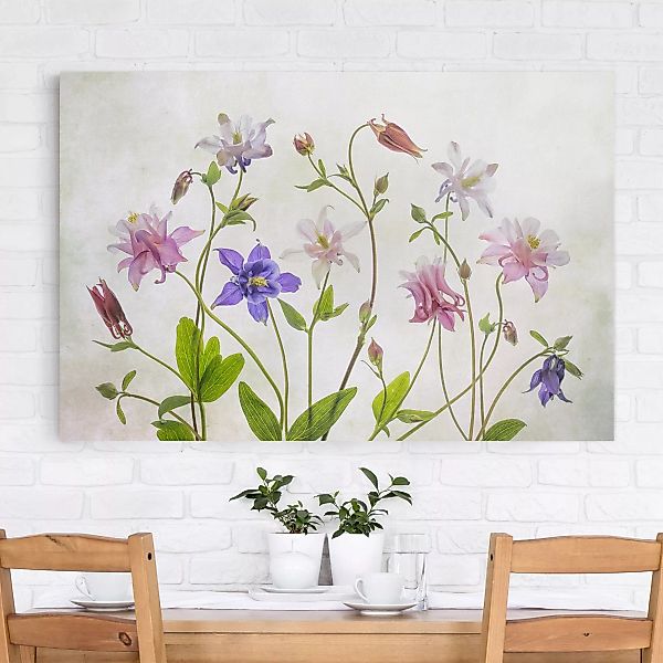 Leinwandbild Blumen - Querformat Wald-Akelei günstig online kaufen