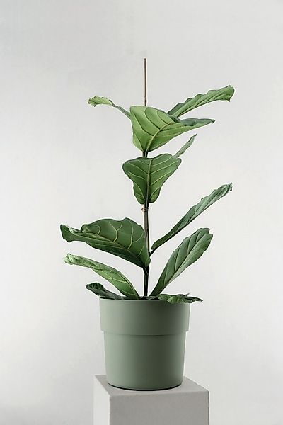 Geli Übertopf Übertopf LIV in verschiedenen Farben und Größen aus Kunststof günstig online kaufen