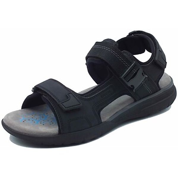 Geox  Sandalen U55ELB Spherica günstig online kaufen