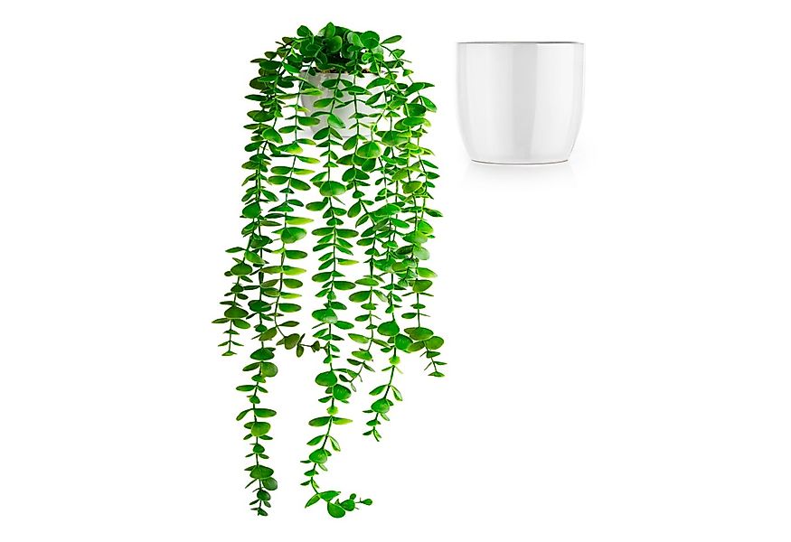 Kunstpflanze Künstliche hängepflanzen im Keramiktopf, Kunstpflanze hängend günstig online kaufen