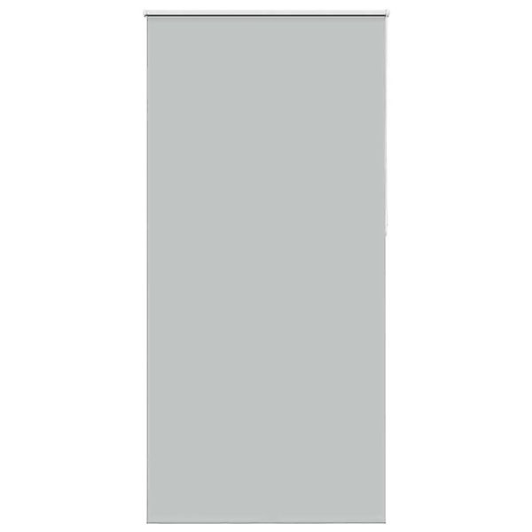 vidaXL Verdunkelungsrollo Hellgrau 115x210cm Stoffbreite 110,7cm 4011443 günstig online kaufen