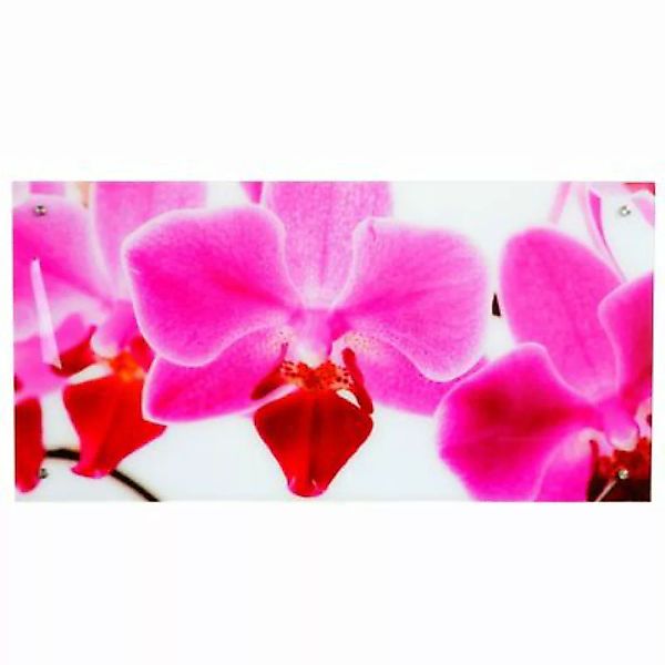 HWC Mendler Glasbild 50x100cm, Orchidee mehrfarbig günstig online kaufen