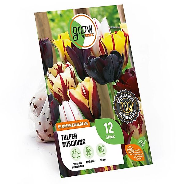 GROW by OBI Tulpen Mischung Nr. 4 / 12 Stück Tulipa mix günstig online kaufen