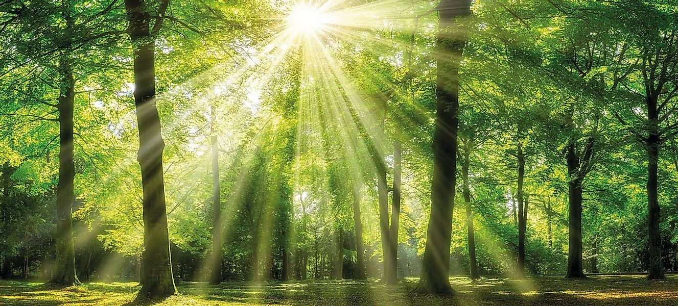 Bönninghoff Leinwandbild Sonnenstrahl, (1 St) günstig online kaufen