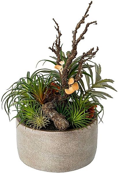 Künstliche Zimmerpflanze Tillandsien-Mix in Zementschale Sukkulente, Creati günstig online kaufen