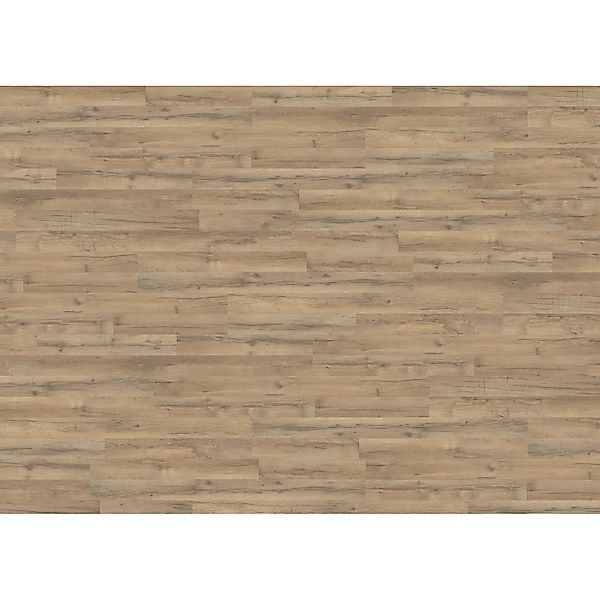Living by Haro Laminat 7 mm Eiche Calabria günstig online kaufen
