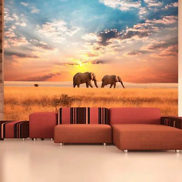 artgeist Fototapete Zwei Elefanten in der afrikanischen Savanne mehrfarbig günstig online kaufen