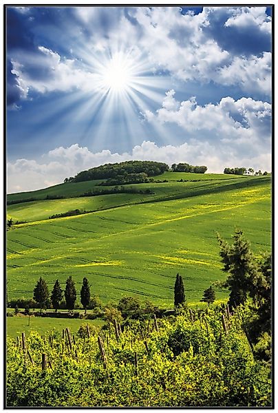 Wallario Poster, Strahlender Sonnenschein, in verschiedenen günstig online kaufen