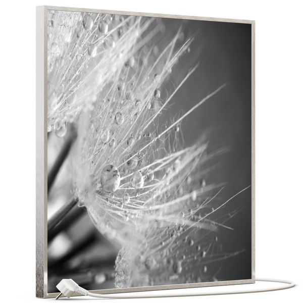 STEINFELD Heizsysteme Infrarotheizung, Bild, 350W 60x60cm, günstig online kaufen