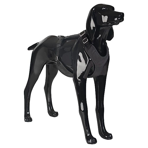 PAIKKA Hunde-Geschirr Hundegeschirr reflektierend "Visibility Harness" günstig online kaufen