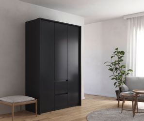 rauch Drehtürenschrank "Mainz mit Passepartout" optional mit Beleuchtung, A günstig online kaufen